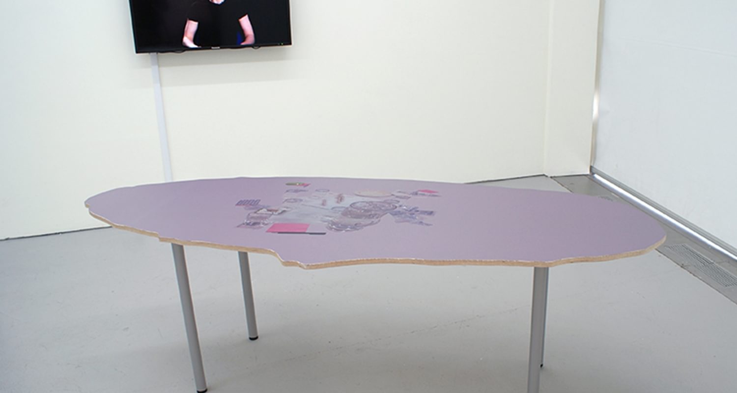 Shona Macnaughton, 'Every Translator is a Traitor', installation view, 2013.