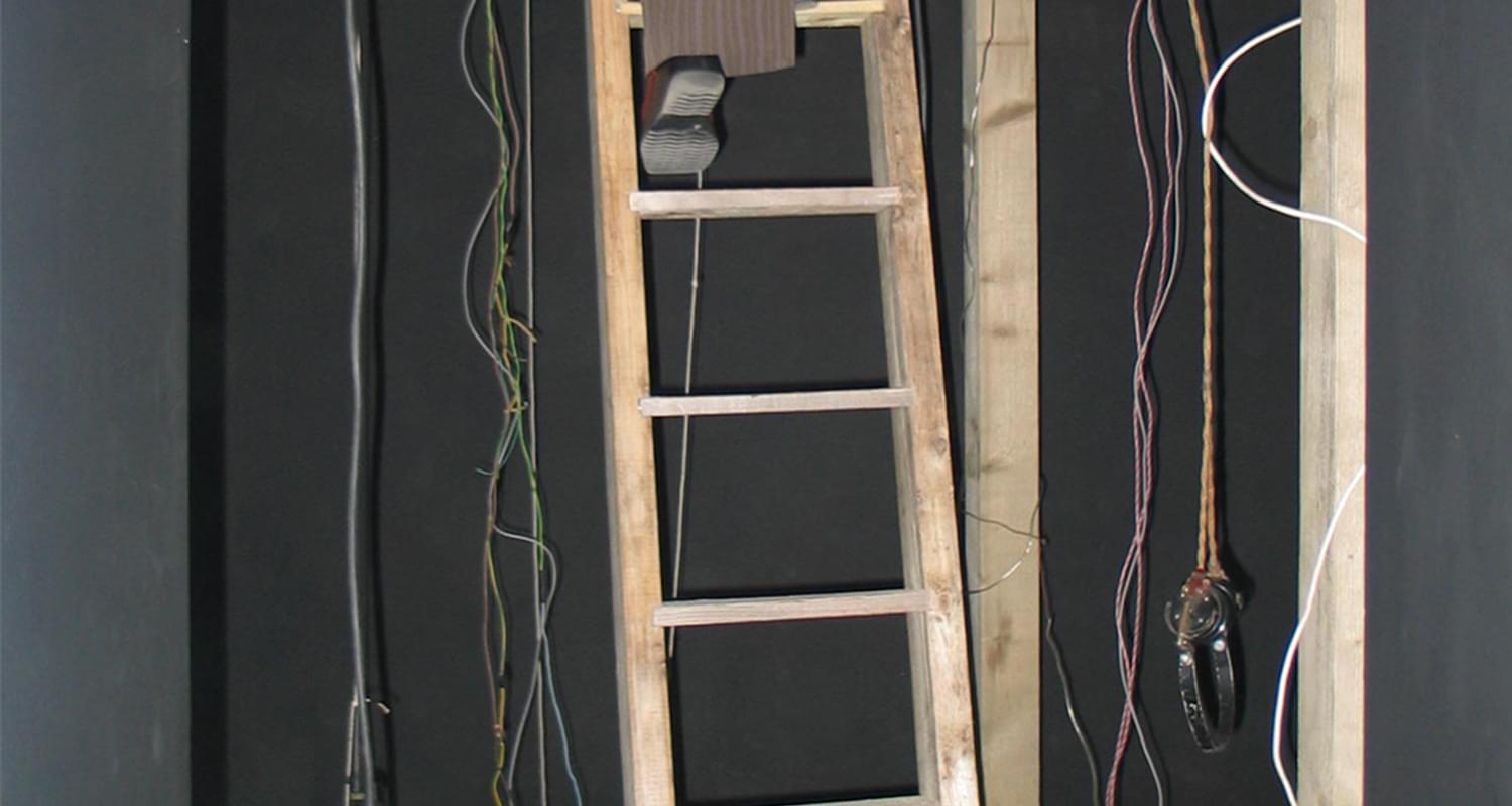 Scott Laverie, 'Germs of a New and Unimagined Bliss', installation view, 2005.