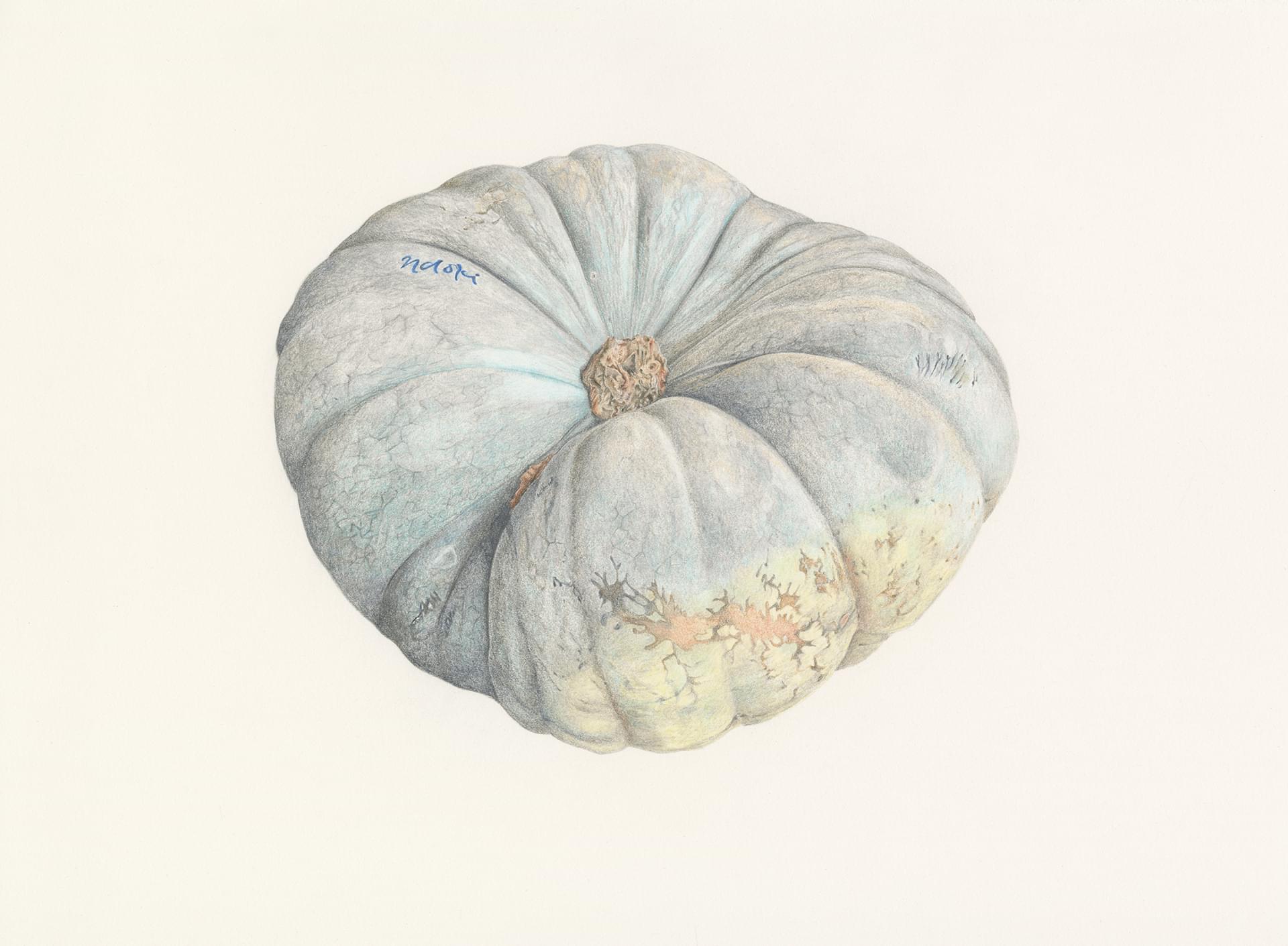 James N Hutchinson, 34°00'02.9"S 18°35'39.9"E from The Manenberg Tornado, 2017/8