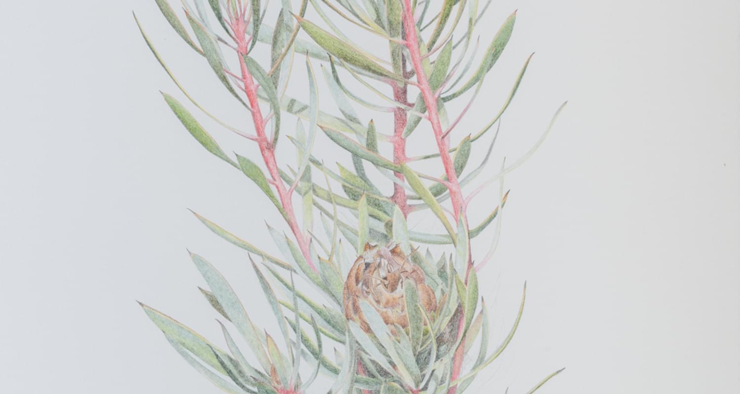 James N Hutchinson, Rumours of a New Planet, 2018. Photo by Tom Nolan.