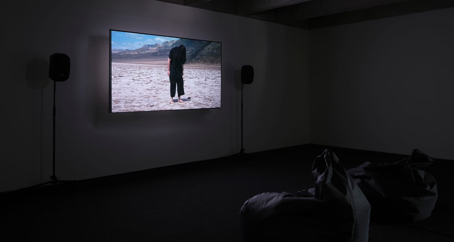Kimberley O Neill, Engima Bodytech, Installation image, 2019. Photo by Tom Nolan.
