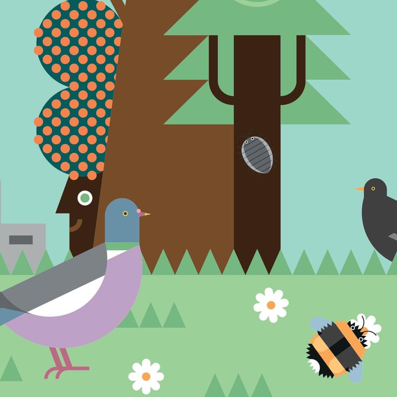 Nature Trail web banner