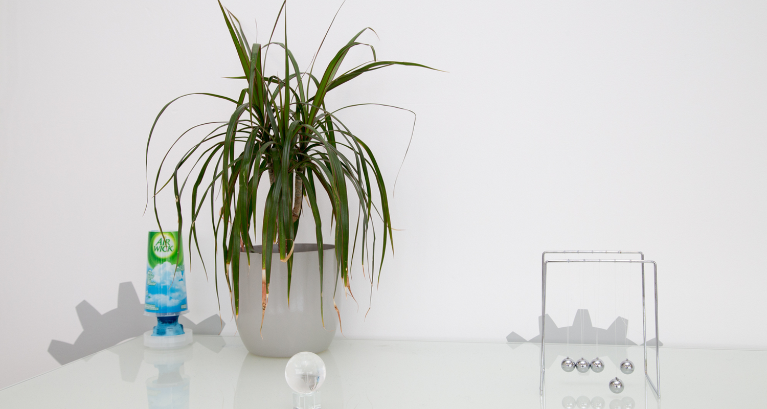 Laura Yuile, 'Conversation of Monuments', installation view, 2014. Photo by Tom Nolan.